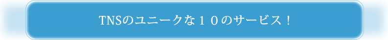 TNSのユニークな10のサービス！